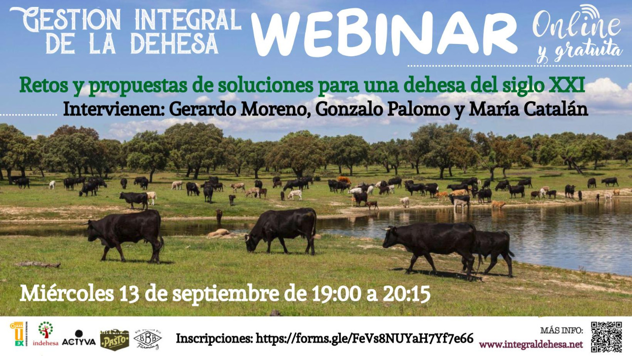 Webinar dehesa